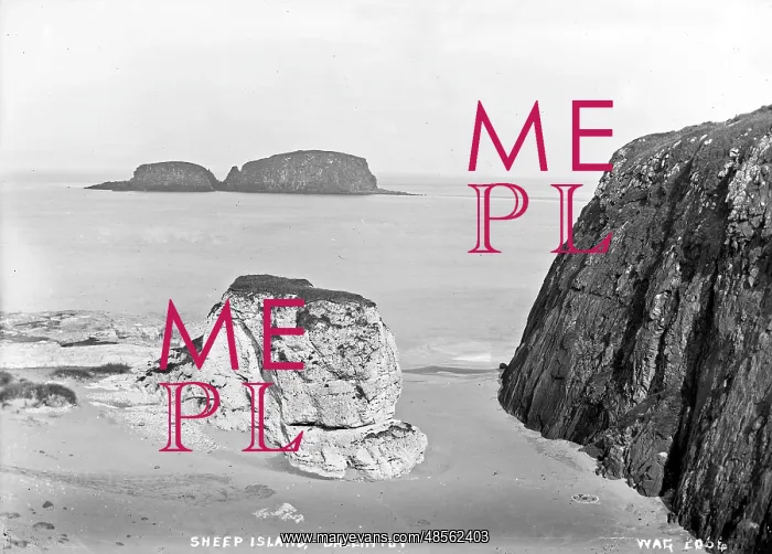 : Sheep Island, Ballintoy : Sheep Island, Ballintoy