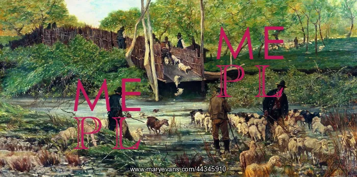 : Sheep jumping ('Il salto delle : Sheep jumping ('Il salto delle