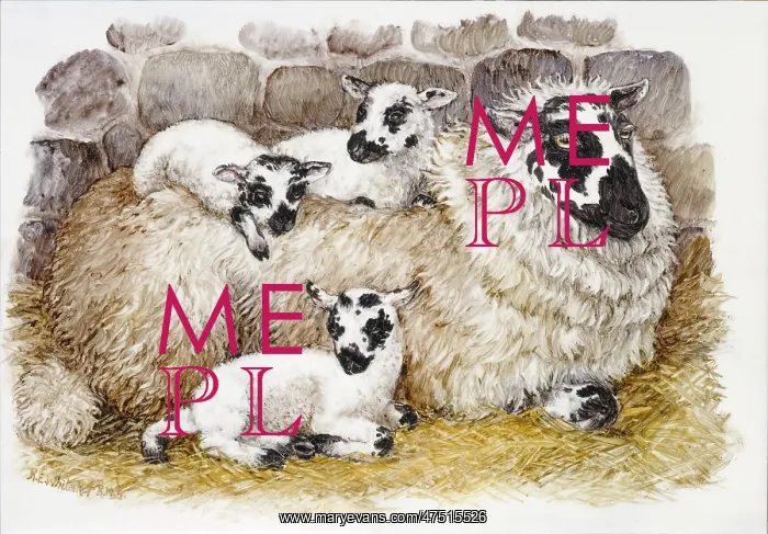  : Sheep and three Lambs