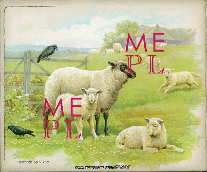  : SHEEP & LAMBS C1880S