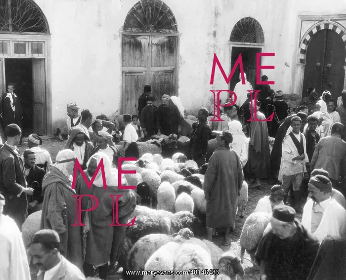  : Sheep market in Tunis, 1931