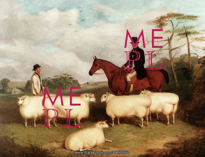  : Sheep, Shepherd and Rider