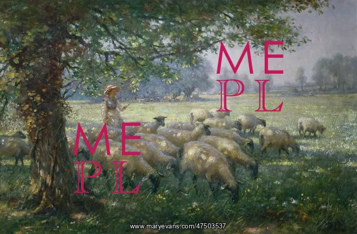 : Sheep and Shepherdess : Sheep and Shepherdess