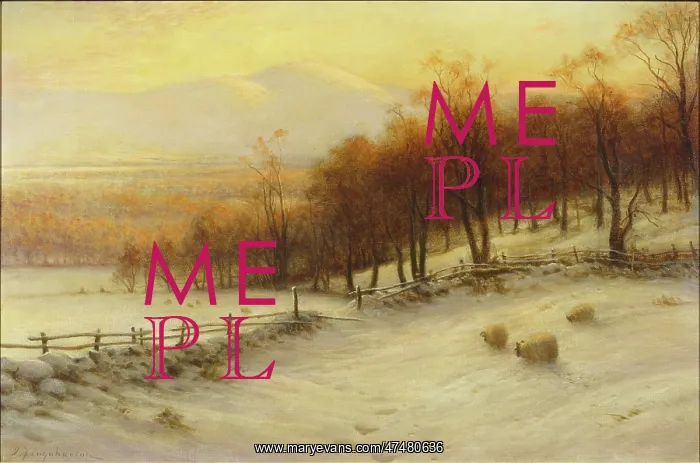 : Sheep in a Snowy Landscape : Sheep in a Snowy Landscape