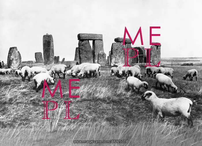 : Sheep at Stonehenge in England, 1933 : Sheep at Stonehenge in England, 1933