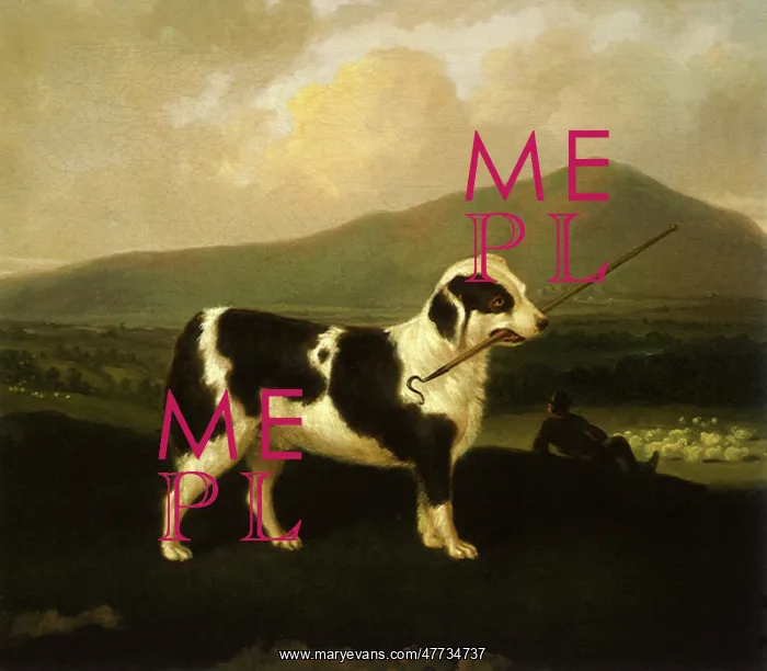 : Sheepdog Carrying his Shepherd's Crook : Sheepdog Carrying his Shepherd's Crook