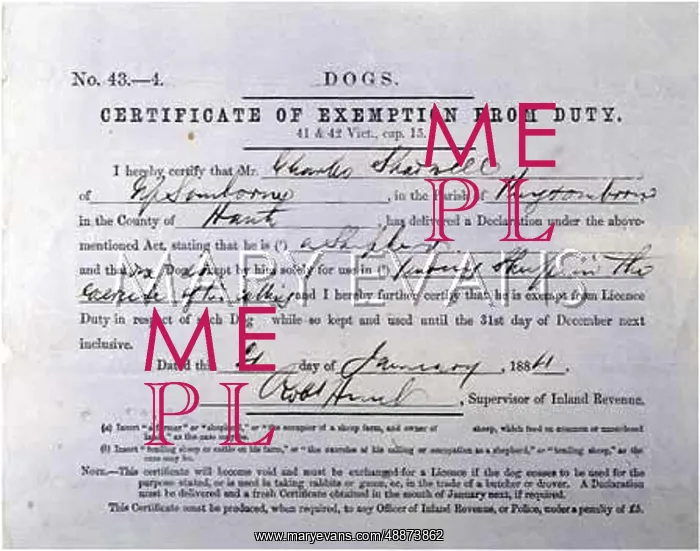 : SHEEPDOG CERTIFICATE : SHEEPDOG CERTIFICATE