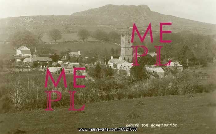  : Sheeps Tor, Horrobridge, Devon