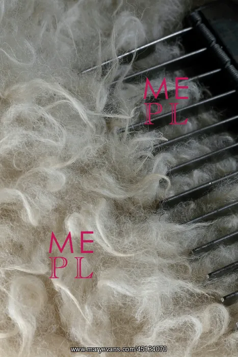 : Sheepskin and comb, workshop, Laines Paysannes : Sheepskin and comb, workshop, Laines Paysannes