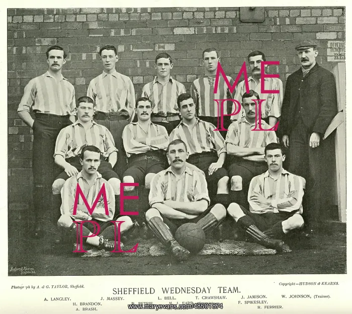 : Sheffield Wednesday Football Team : Sheffield Wednesday Football Team