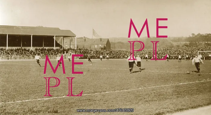 : Sheffield Wednesday playing, Owlerton Stadium, Sheffield : Sheffield Wednesday playing, Owlerton Stadium, Sheffield