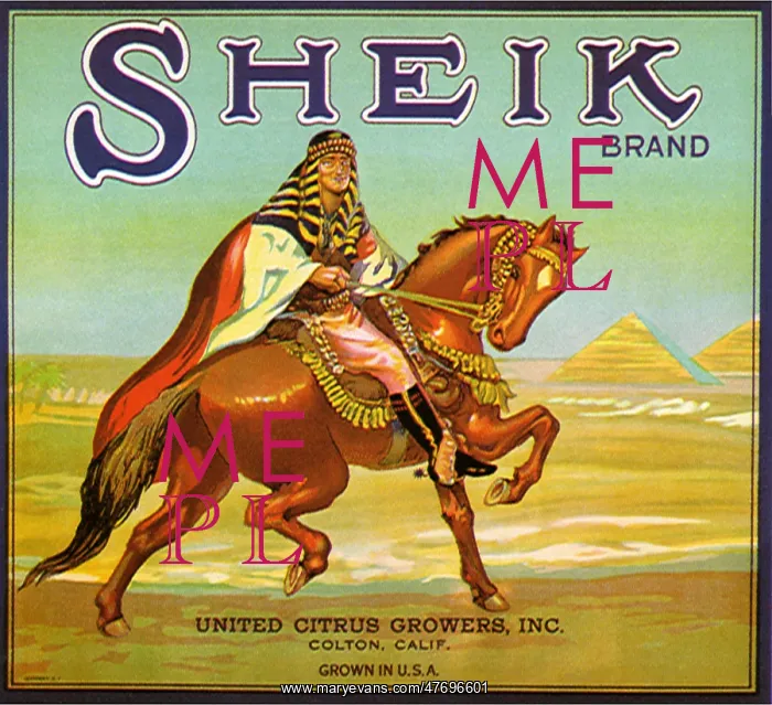  : Sheik on Horseback
