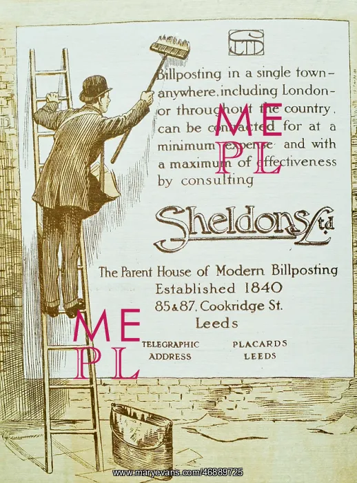 : Sheldons Poster