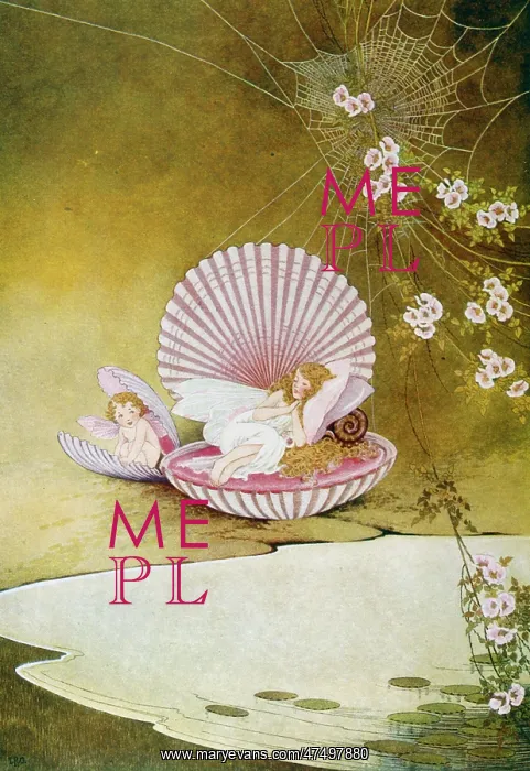 : Shell Fairies ' fairies sleeping in clamshells : Shell Fairies ' fairies sleeping in clamshells