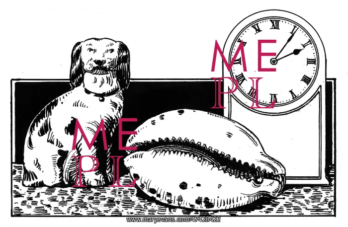 : The Shell on the Mantlepiece : The Shell on the Mantlepiece