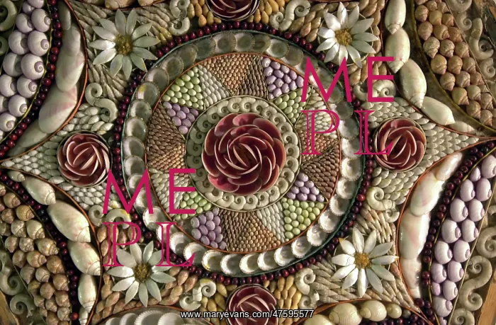 : Shell mosaic : Shell mosaic