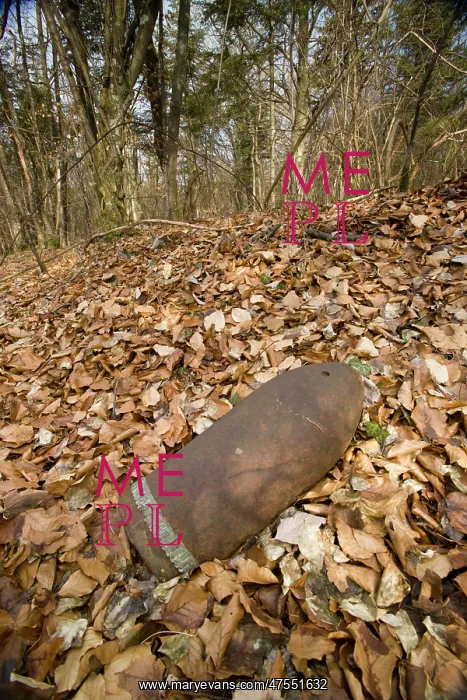 : Shell in the woods of Verdun : Shell in the woods of Verdun
