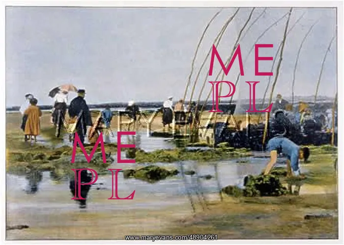 : SHELLFISH FISHING / FRANCE : SHELLFISH FISHING / FRANCE