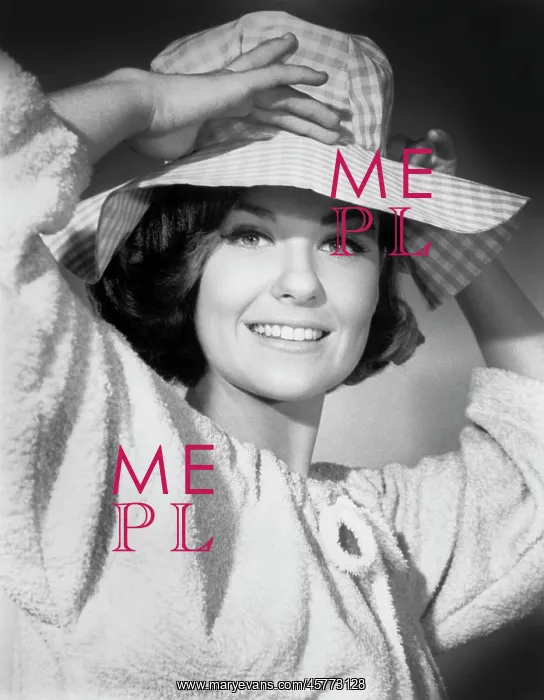 : Shelly Fabares - actress : Shelly Fabares - actress