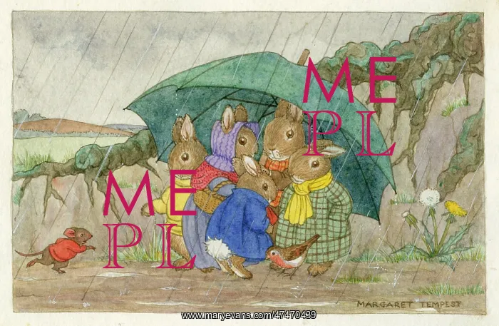 : Shelter from the Rain ? five rabbits : Shelter from the Rain ? five rabbits
