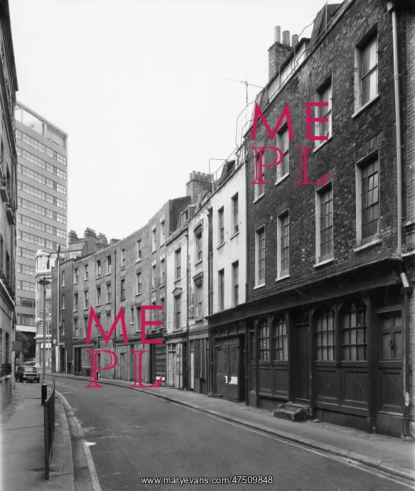 : SHELTON STREET : SHELTON STREET