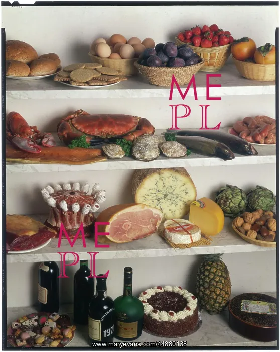 : SHELVES OF FOOD : SHELVES OF FOOD