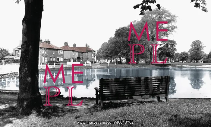 : Shenfield, the Common c1965