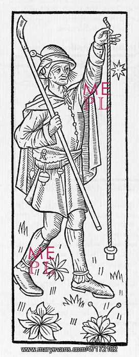 : Shepherd. A French shepherd calculates the south at midnight, : Shepherd. A French shepherd calculates the south at midnight,
