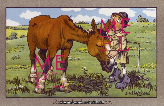 : Shepherd bellows into horse's ear : Shepherd bellows into horse's ear