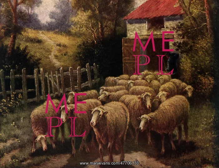 : Shepherd and Flock