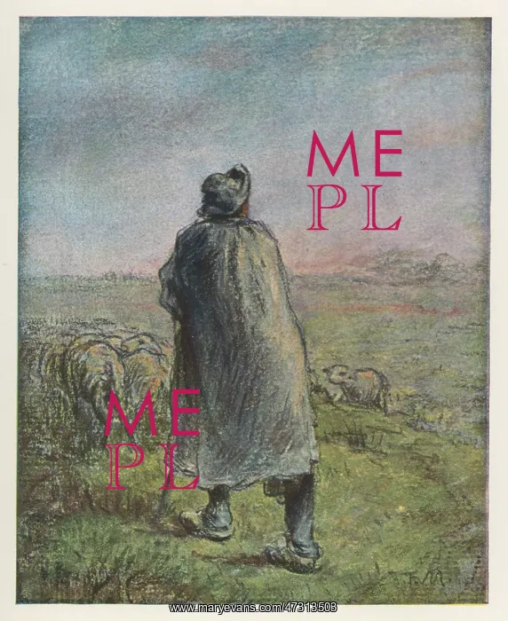  : SHEPHERD (MILLET)
