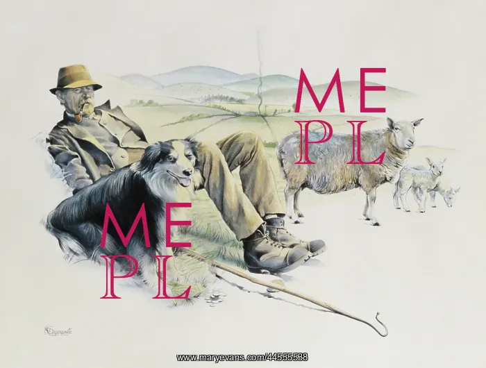 : Shepherd at rest : Shepherd at rest