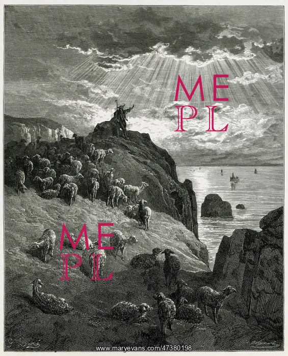 : The Shepherd - the Sea : The Shepherd - the Sea