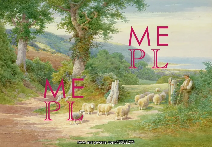 : Shepherd and Sheep : Shepherd and Sheep