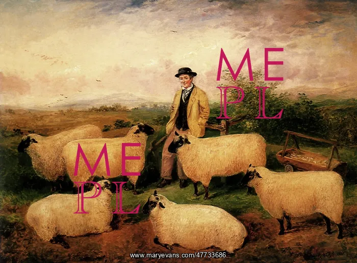  : Shepherd and His Sheep