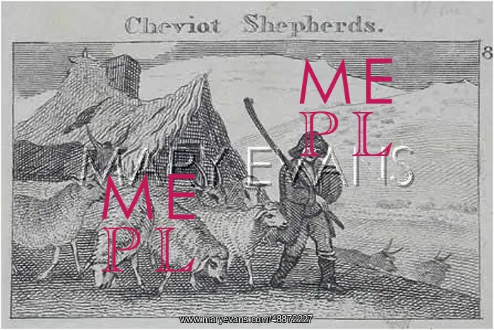 : Shepherd with his sheep : Shepherd with his sheep