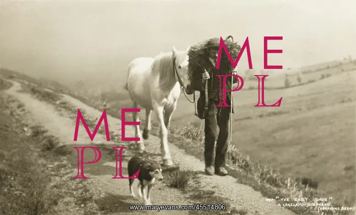 : Shepherd with sheep, horse and dog : Shepherd with sheep, horse and dog