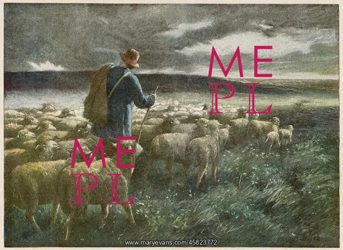  : SHEPHERD AND STORM