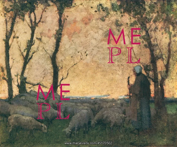 : Shepherding The Flock : Shepherding The Flock
