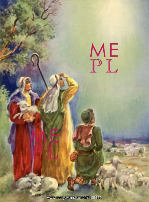 : Three Shepherds : Three Shepherds