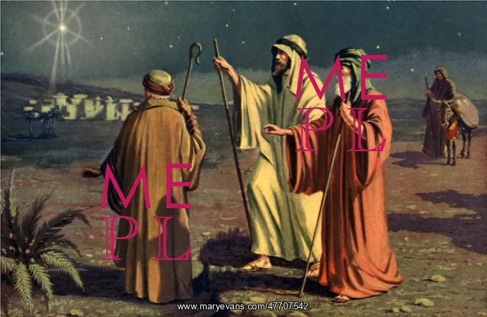 : Three Shepherds : Three Shepherds