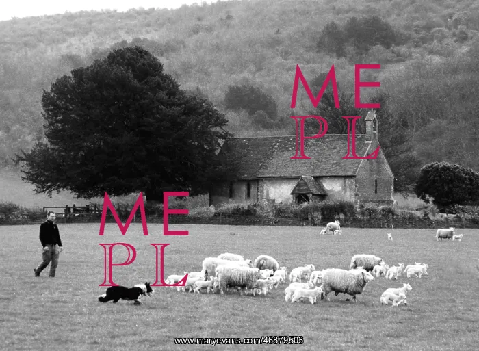  : Shepherds church