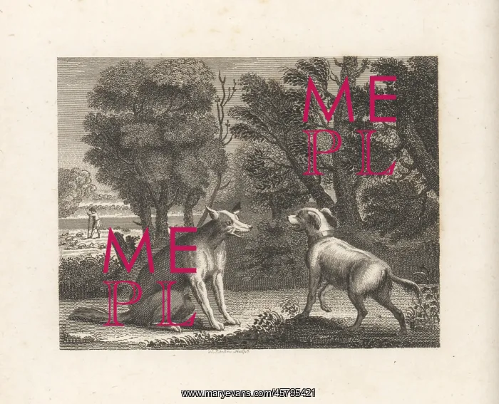 : The Shepherd's Dog and the Wolf : The Shepherd's Dog and the Wolf