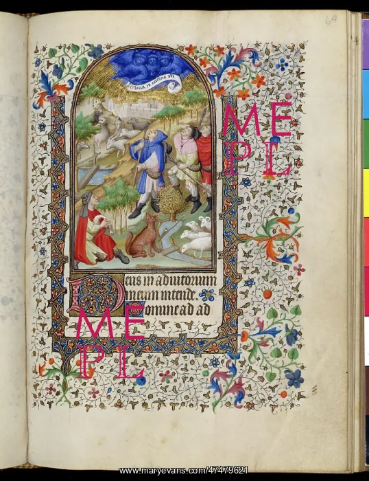 : Shepherds in the Fields : Shepherds in the Fields