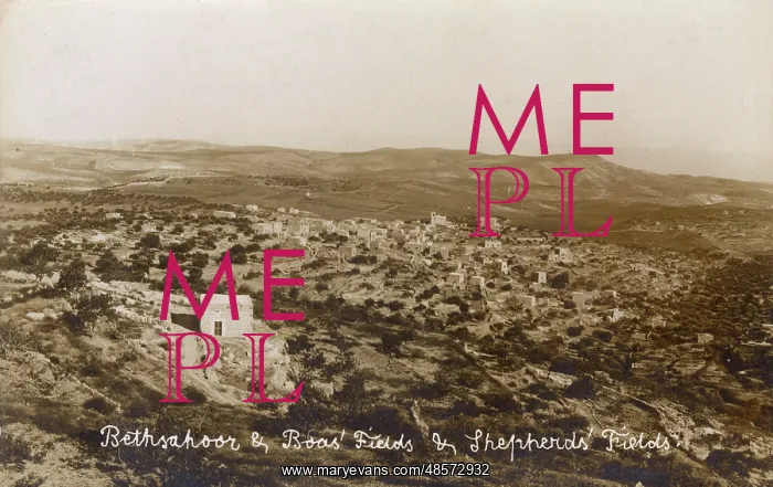  : Shepherds Fields, Bethlehem, Palestine