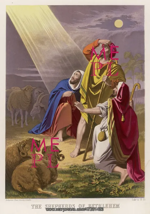: SHEPHERDS INFORMED : SHEPHERDS INFORMED