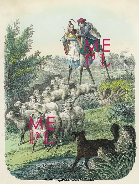 : SHEPHERDS OF LES LANDES : SHEPHERDS OF LES LANDES