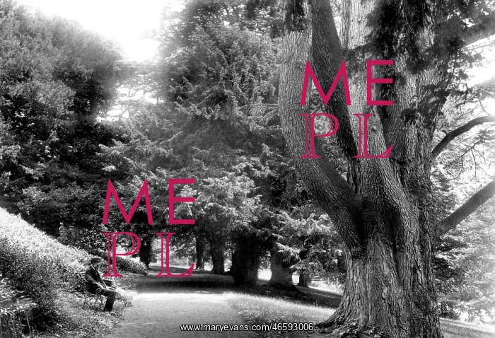  : Sherborne, Yew Tree Walk 1904