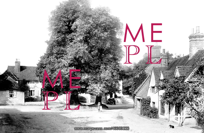  : Shere, the Village 1903