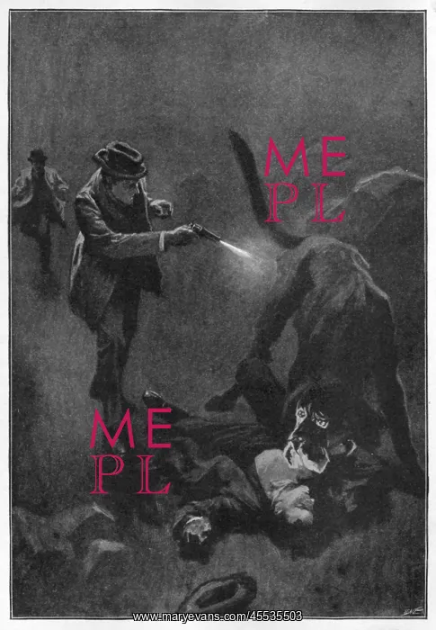 : Sherlock Holmes - Hound - Baskerville : Sherlock Holmes - Hound - Baskerville
